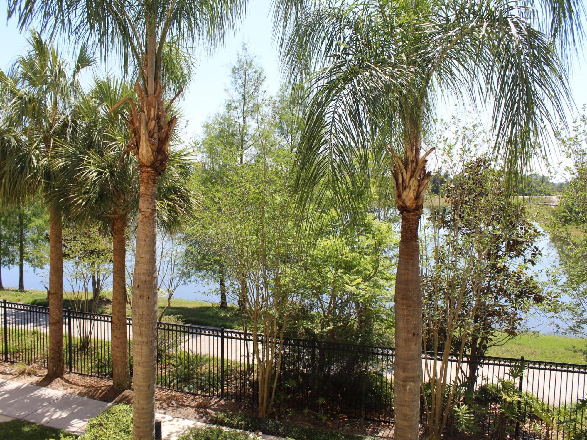 205 - Disney, Universal, Convention Center Orlando Exterior photo